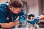 Low-Cost Cat Shots Cost Fullerton – VIP Animal Hospital