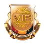 VIP CONNECTION