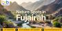 Explore Nature Spots in Fujairah With BookMyBooking