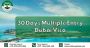 30 Days Multiple Entry Dubai Visa With InstaUAEVisa