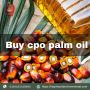 Buy CPO Palm Oil