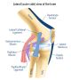 Reclaim Your Active Lifestyle with Effective Knee Surgery