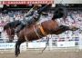 Calgary Stampede Events – Unforgettable Experiences Await