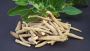 Ashwagandha Immune System Support Naturally