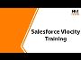 Advance Your Career With Our Salesforce Vlocity Training