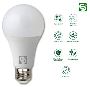 Buy Motion Sensor Bulb at Best Prices in India For Daily Use
