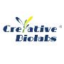 DNA Sequencing Services