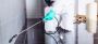 Cockroach Exterminator Service in Manhattan, NYC | VJ Pest 