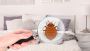 Expert Bed Bug Extermination in Manhattan