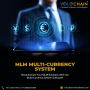 Expand Globally with Our Powerful MLM Multi-Currency System!