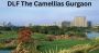Exquisite 4BHK Apartments Available at DLF Camellias, Gurgao