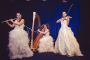 Unique Groom Entry Theme Planner in Delhi Memorable Wedding 
