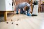 Pest control near me for 1 BHK homes starting at just ₹599.