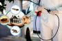 Top Pest Control Service Company in Mumbai – VSG Pest Contro