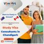 Study Visa Consultants in Chandigarh