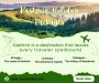 Kashmir: A Land of Contrasts and Captivating Charm