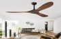 Top Premium Quality Designer Fan by Wadbros