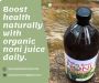 100% Pure Organic Noni Powder from Hawaii 100% Pure Organic Noni Powder from Hawaii