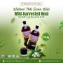  Experience Authentic Noni Juice from Hawaii – Boost Your We