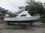 Expert Cargo Damage Survey & Marine Surveying Services