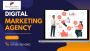 Grow Your Brand With Best Digital Marketing Agency | Wall Co