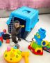 Cute and Adorable Capuchin Monkeys for sale 