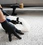 Professional & Safe Carpet Cleaning  in Donegal