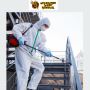 Wasp Removal Melbourne | Expert Wasp Exterminator 