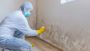 Water Damage Restoration Atlanta GA
