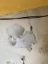 Best Waterproofing Services in Hyderabad | Proofing Experts