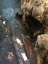 Commercial Plumbing Maintenance
