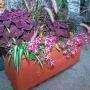 Holiday Floral Arrangements - Waukesha Floral & Greenhouse