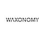 Affordable Luxury: The Best Beauty Salon in Frisco for Every