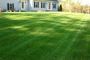 Expert Lawn Installations in Peabody – Lush & Green Lawns!