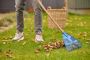 Peabody Seasonal Yard Cleanup Services – Spring & Fall