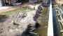 Affordable Seawall Construction Services in Fort Myers!