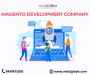 Magento Development Services