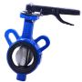 Best Manufacturer of Butterfly Valves in India | Pipeline Pr