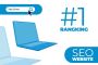 Affordable SEO Packages | Wordpress Development Services