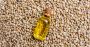 Hemp Seed Oil Hemp Seed Oil