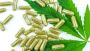 How to use CBD Capsules How to use CBD Capsules