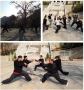 learn Chinese Martial Arts