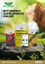 Buy Energy Supplements Online - Well Daily