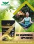 Buy Ashwagandha Supplements Online - Well Daily