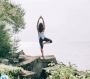 Wellness Health and Training