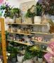 Best shop for Flowers in Secret Harbour