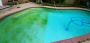 Professional Pool Cleaning & Maintenance With Green Clean