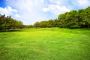 Lawn Mowing Services Melbourne	