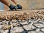 Transform Your Outdoors: Stunning Driveways, Patios & Ground