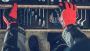 Alloy Wheel Repair Manchester – WheelMaster